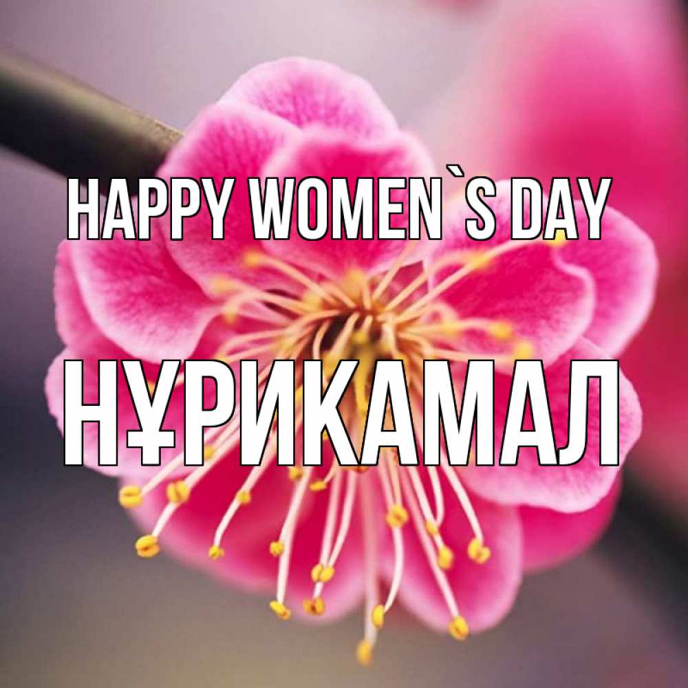 Greetings card с именем, НҰРИКАМАЛ happy women`s day цветы Greetings with text for free download 